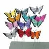 Best reviews of 🎁 Feather Butterflies - 12 Pc. 🎉
