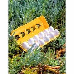 Promo 🛒 PopFun-12 PCS Matching Easter Egg Set 👏 -Easter Teaching Supplies & Stationery Store popfun 12 pcs matching easter egg set14243074 a03NOWA